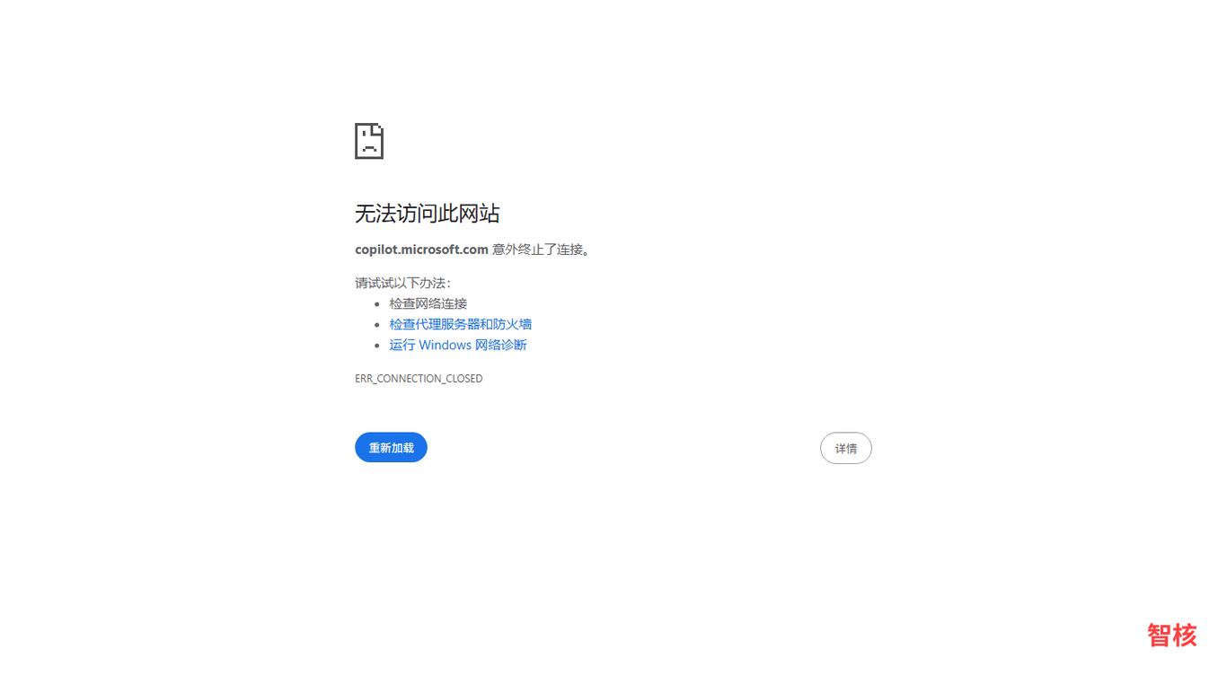 Microsoft Copilot 产品截图 0