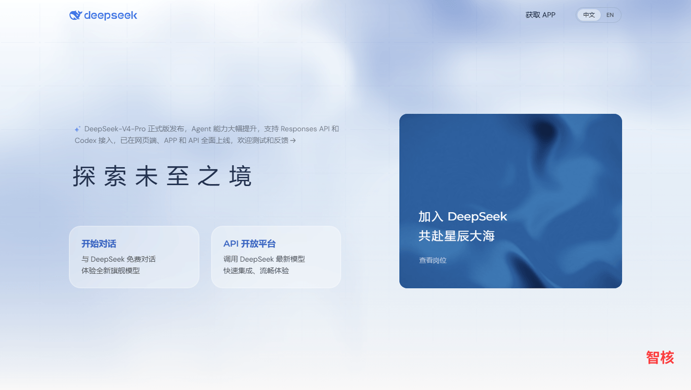 DeepSeek 产品截图 0