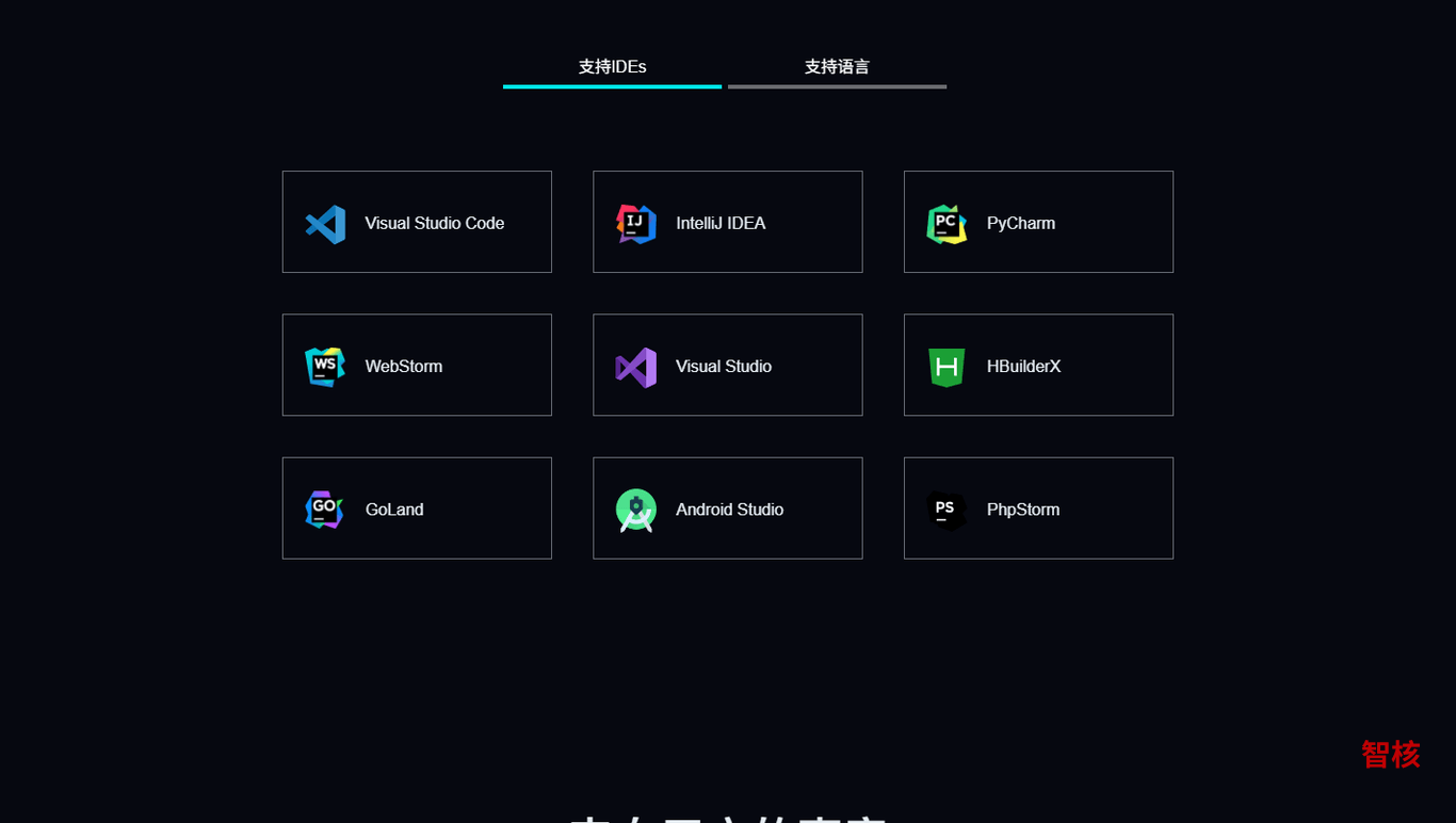 CodeGeeX 产品截图 1